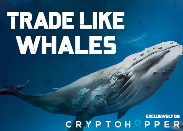 https://wolfofcrypto.org/wp-content/uploads/2022/06/trade-like-whales.png